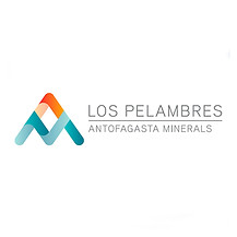 Los pelambres